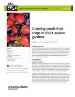 Short-Season, High-Altitude Gardening: Growing Small-Fruit Crops in Short-Season Gardens