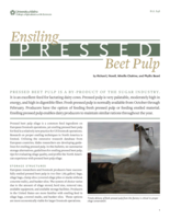 Ensiling Pressed Beet Pulp
