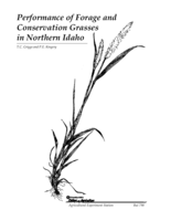 Performance of Forage and Conservation Grasses in Northern Idaho