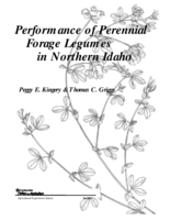 Performance of Perennial Forage Legumes in Northern Idaho