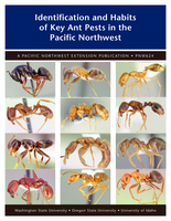 Identification and Habits of Key Ant Pests in the PNW