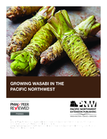 Growing Wasabi in the Pacific Northwest
