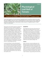Physiological Leaf Roll of Tomato