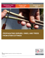 Propagating Shrubs, Trees, Vines with Stem Cuttings