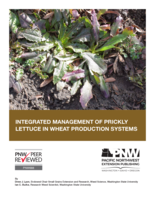 Integrated Management of Prickly Lettuce in Wheat Production Systems