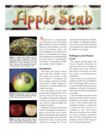 Apple Scab