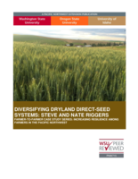 Diversifying Dryland Direct Seed Systems, Steve and Nate Riggers (Farmer-to-Farmer Case Study Series)