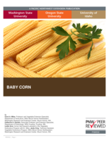 Baby Corn