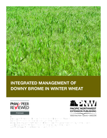 Integrated Management of Downy Brome in Winter Wheat