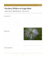 Powdery Mildew on Sugarbeet: Importance, Identification, and Control