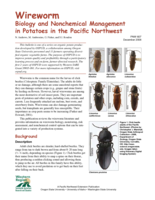 Wireworm Biology and Nonchemical Management