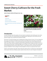 Sweet Cherry Cultivars for the Fresh Market