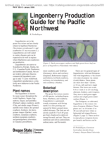 Lingonberry Production Guide for the PNW