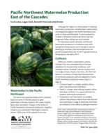 Pacific Northwest Watermelon Production East of the Cascades