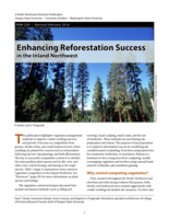 Enhancing Reforestation Success in the Inland Northwest