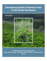 Developing Quality Christmas Trees in the Pacific Northwest