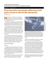 Plant-parasitic nematodes affecting small grain cereals in the PNW