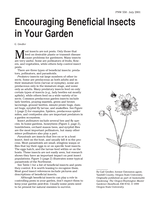 Encouraging Beneficial Insects in Your Garden
