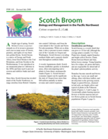 Scotch Broom: Biology & Mgmt. in the PNW