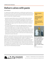 Dehorn Calves with Paste/Descornar terneras con pasta
