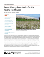 Sweet Cherry Rootstocks for the Pacific Northwest