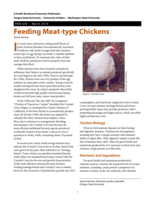 Feeding Meat-type Chickens