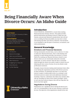 Being Financially Aware When Divorce Occurs: An Idaho Guide
