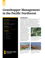 Grasshopper Management in the Pacific Northwest