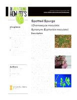 Idaho Green Thumb How-To: Spotted Spurge