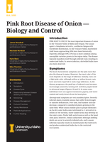 Pink Root Disease of Onion: Biology and Control