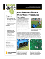 Core Aeration of Lawns - Benefits and Procedures
