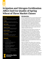 Irrigation and Nitrogen Fertilization Affect End-Use Quality of Spring Wheat of Three Market Classes