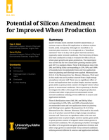 Potential of Silicon Amendment for Improved Wheat Production