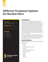 Different Treatment Options for Russian Olive