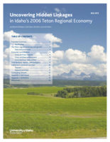 Uncovering Hidden Linkages in Idaho’s 2006 Teton Regional Economy
