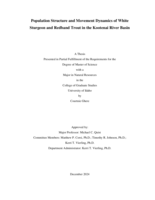 Population Structure and Movement Dynamics of White Sturgeon and Redband Trout in the Kootenai River Basin