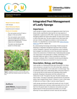 Integrated management of leafy spurge