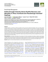 Pre-fire drought intensity drives post-fire recovery and mortality in Pinus monticola and Pseudotsuga menziesii saplings