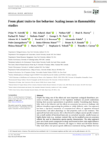 From plant traits to fire behavior: Scaling issues in flammability studies