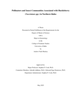 Pollinators and insect communities associated with huckleberry (Vaccinium spp.) in northern Idaho