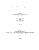 Adversarial Robustness in Deep Learning