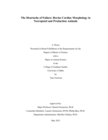 The Heartache of Failure: Bovine Cardiac Morphology in Necropsied and Production Animals
