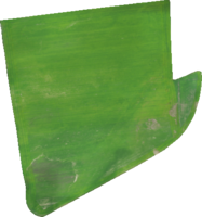 F026 UAV orthomosaic Imagery