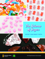 The Science of Sugar: Satisfy Your Sweet Tooth