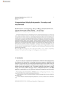 Computational ship hydrodynamics: Nowadays and way forward