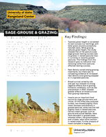 Sage Grouse & Grazing: Takeaways from a 10-year study