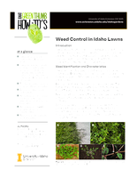 Weed Control in Idaho Lawns