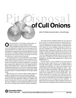 Pit Disposal of Cull Onions