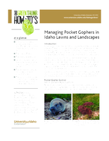 Managing Pocket Gophers in Idaho Lawns and Landscapes