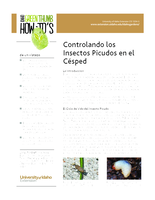 Controlando los Insectos Picudos en el C sped